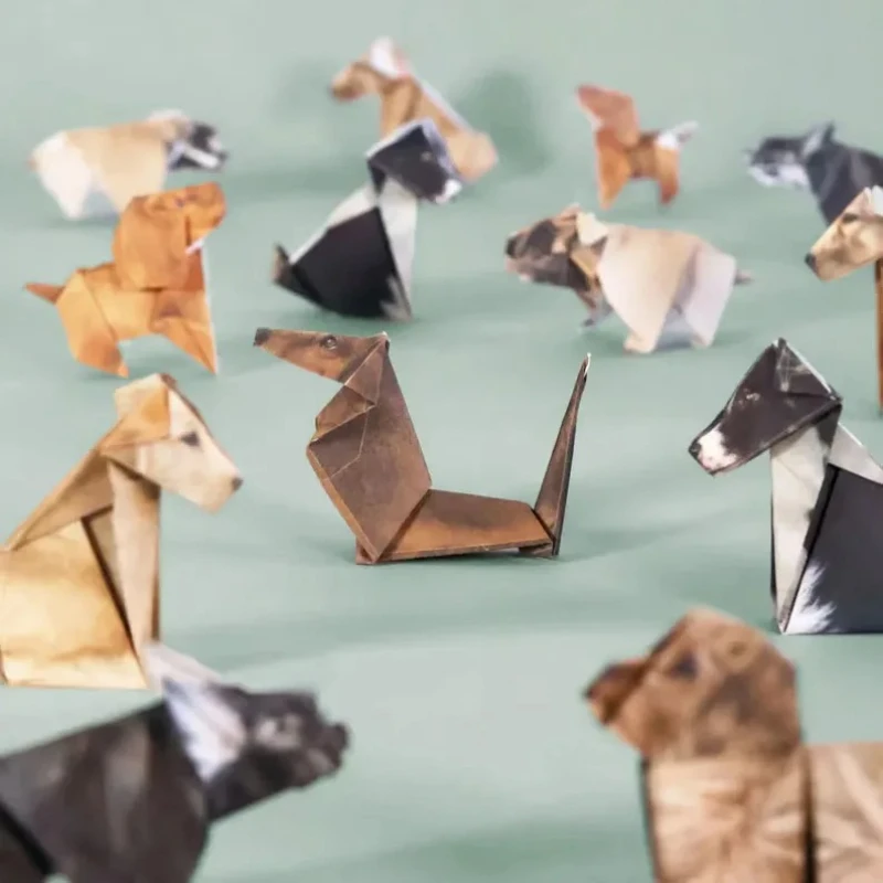 Kreatives DIY Origami-Papier-S – Art Craft Dinosaurs Bewertung und Preis