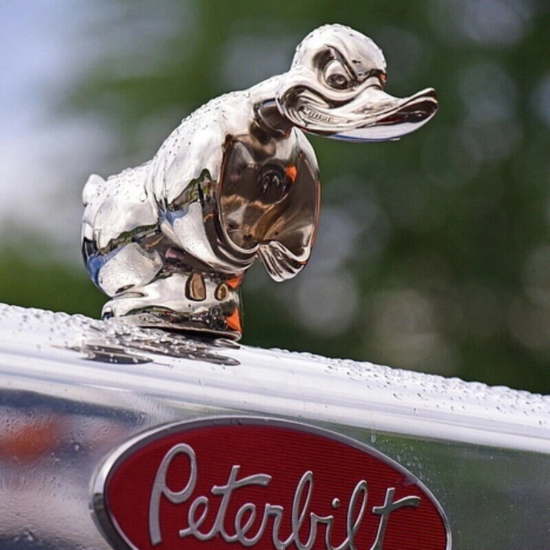 Haube böse Ente Auto Front Orn – Art Craft Duck Bewertung und Preis