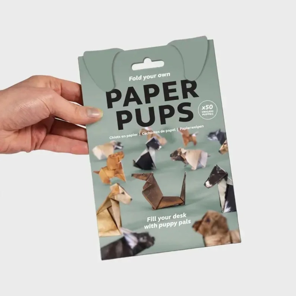 2026 Kreatives DIY-Papier für  – Art Craft Dinosaurs Bewertung und Preis